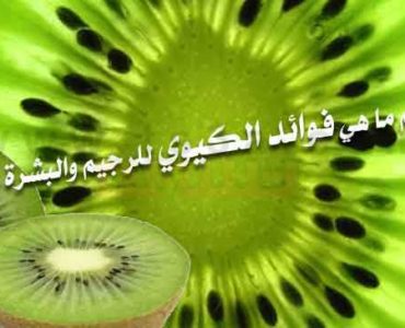 فوائد الكيوي فائدة الكيوي للرجيم والبشرة والشعر والحامل
