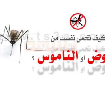 التخلص من البعوض كيف تحمي نفسك من البعوض او الناموس