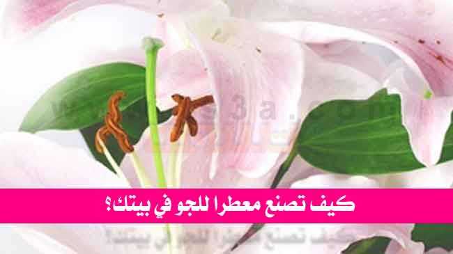 معطرات الجو ولروائح العطرة كيف تصنع معطرا للجو معطر الجو