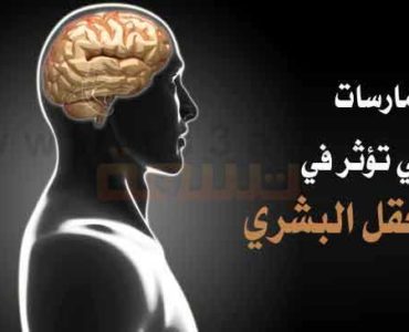 الممارسات والعادات التي تؤثر في العقل البشري سلامة عقلك الدماغ المخ