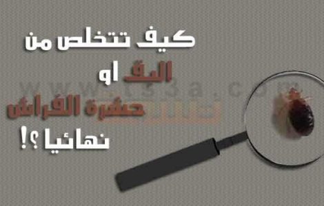 كيف تتخلص من البق او حشرة الفراش