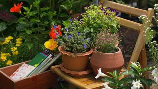 زراعة حديقة منزلية تصميم حدائق منزلية حديقتك الخاصة
