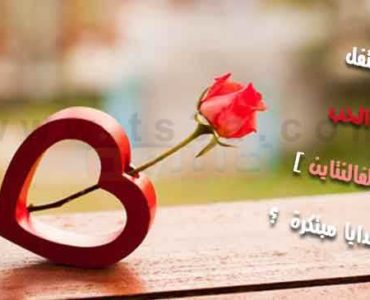 كيف تحتفل عيد الحب الفالنتاين هدايا مبتكرة ميزانيتك