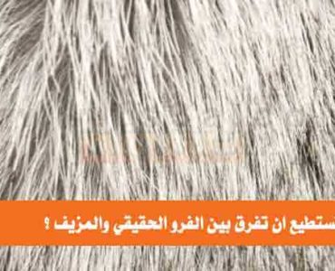 كيف تستطيع ان تفرق بين الفرو الحقيقي والمزيف