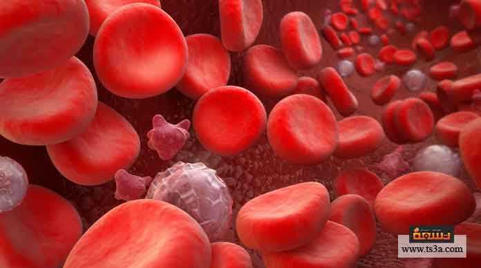 كيف ترفع نسبة الهيموجلوبين والحديد في دمك ؟ • تسعة