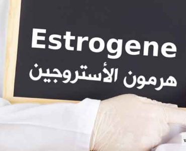 هرمون الأستروجين في الجسم