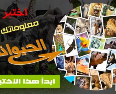 إختبار عن الحيوانات