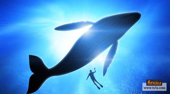 2. الحيتان تتنفس عن طريق ….