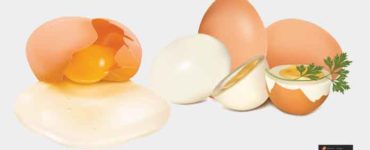 تمييز البيضة النيئة عن المسلوقة