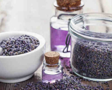 العطور