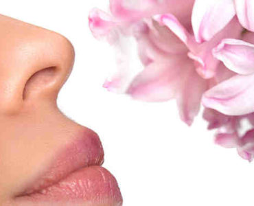 تجميل الأنف