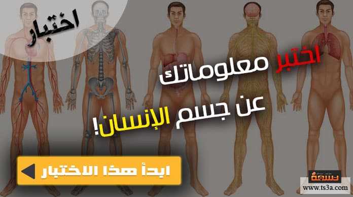 اختبار جسم الإنسان