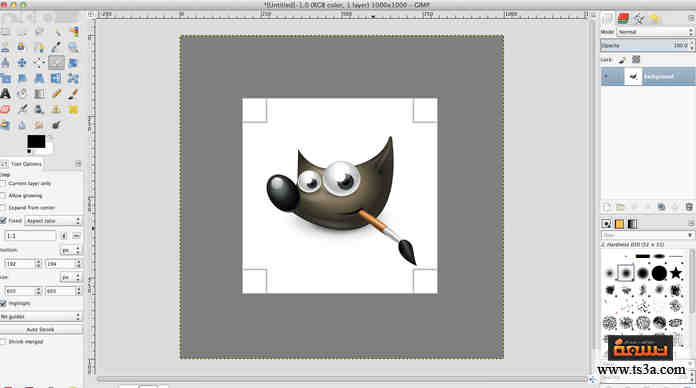 كيف تستخدم برنامج Gimp لتعديل الصور البديل للفوتوشوب؟ • تسعة