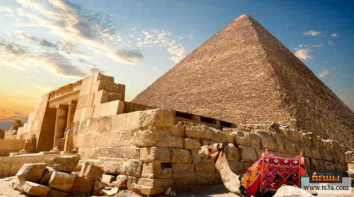 كيف تحصل على تأشيرة مصر السياحية والتعليمية والإقامة تسعة