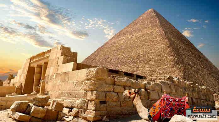 تأشيرة مصر تأشيرة مصر
