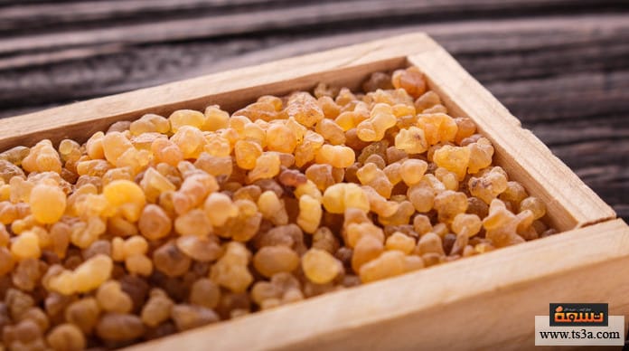 حفرة زلق مسدس حرق اللبان الذكر في المنزل Comertinsaat Com