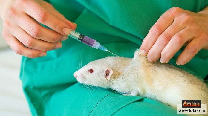 اختبارات الأدوية هل يفيد إجراء اختبارات الأدوية على الحيوانات قبل إجرائها على البشر؟