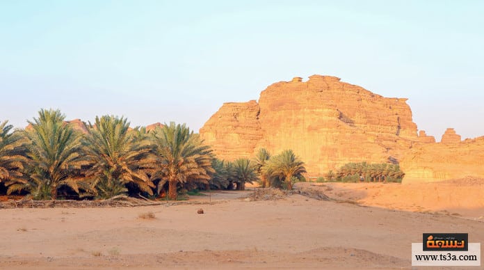 خطبة الوداع ما نص خطبة الوداع ؟