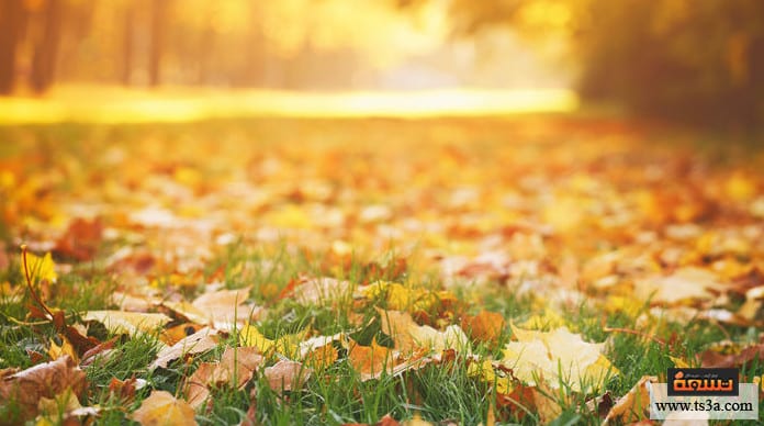 متى يبدأ فصل الخريف 2021 وماهي مظاهره ومراحله؟