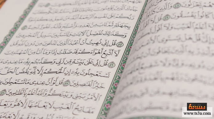 قراءة القرآن كيف تؤثر قراءة القرآن الكريم على الحيوانات والنباتات؟