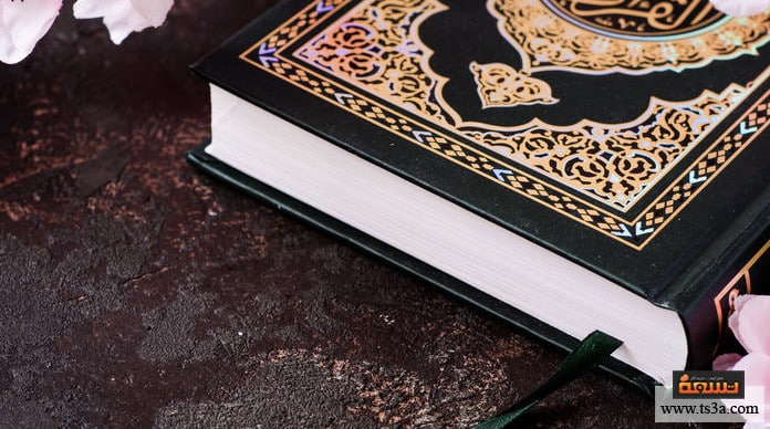 قراءة القرآن ما هي فوائد حفظ وقراءة القرآن للعقل؟