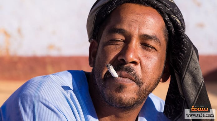 دخول الدخان مصر حجم انتشار الدخان في مصر