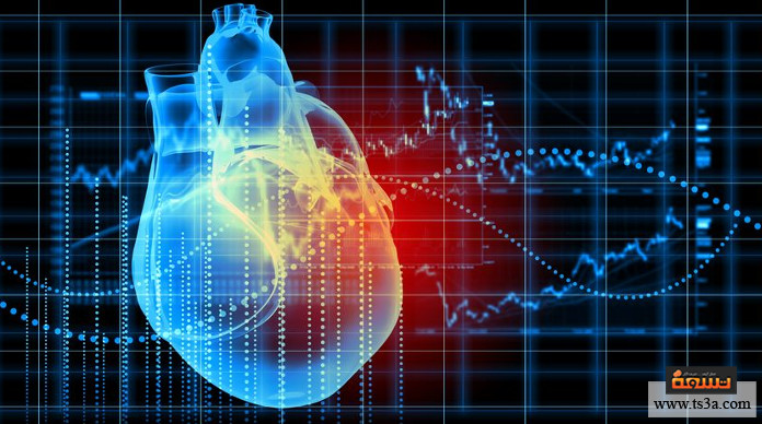ضربات القلب التكوين التشريحي للقلب