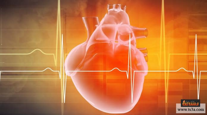 تزايد ضربات القلب تزايد ضربات القلب بعد الأكل