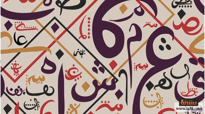 تشابه الهمزة المتطرفة في كثير من أحكامها: