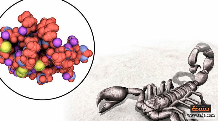 لدغة العقرب علاج لدغة العقرب بالكلور