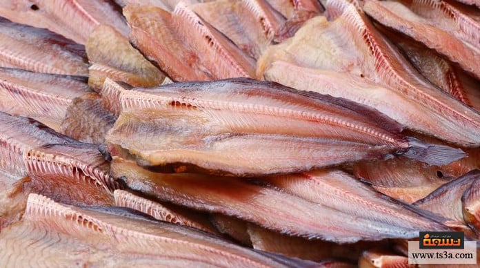 السمك السنجاري السمك السنجاري البوري