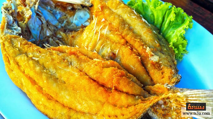 السمك السنجاري فوائد السمك السنجاري