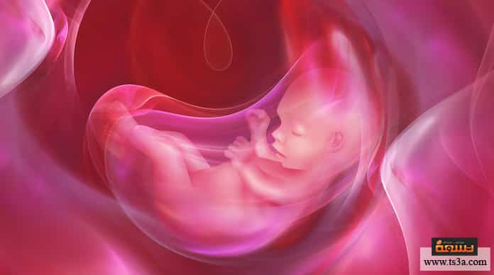 انفصال المشيمة انفصال المشيمة في بداية الحمل