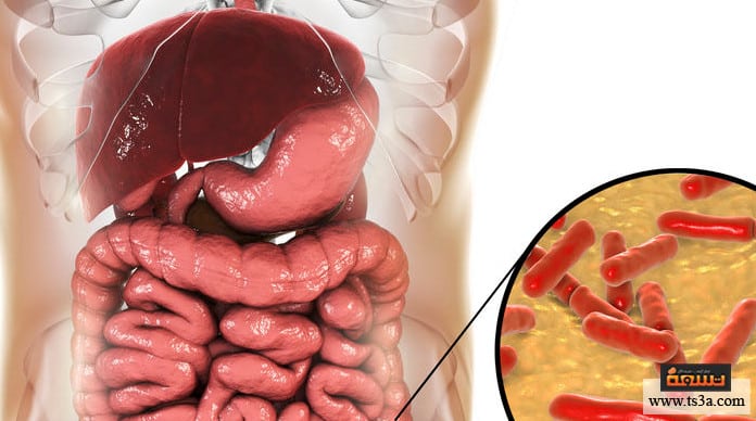 بكتيريا الأمعاء بكتيريا الأمعاء والاكتئاب