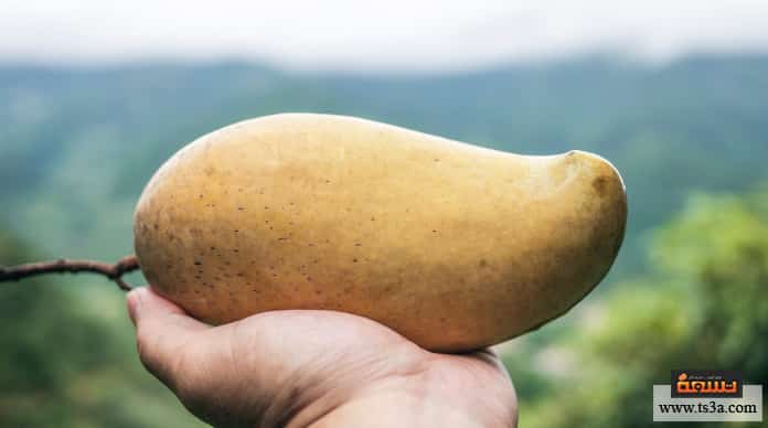 عصير البطاطس هل أكل البطاطس النيئة مضر؟