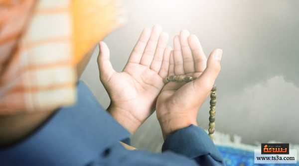 كيف أصلي ؟ كل ما تحتاج إلى معرفته عن أداء الصلاة في الإسلام • تسعة