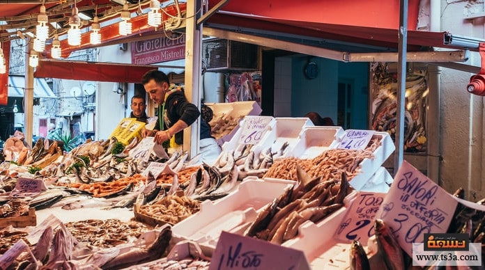 مشروع محل أسماك مشروع محل أسماك جاهزة