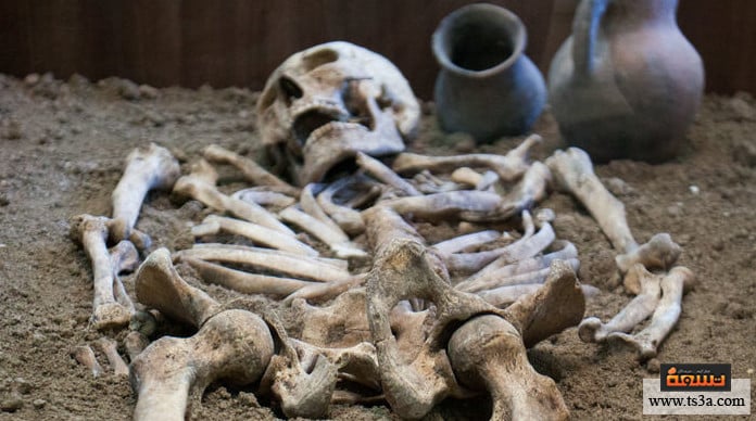 الطب في العصر الحجري بتر الأعضاء باستخدام مخدر ومطهر