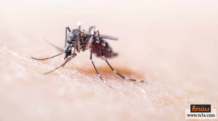مرض الملاريا هل تنتقل الملاريا عن طريق التنفس؟