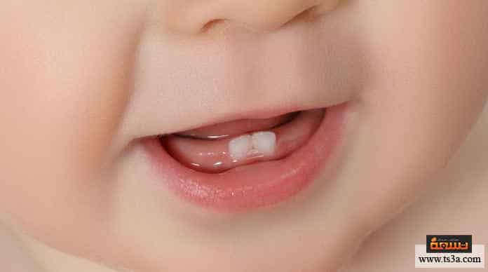 صحة أسنان الأطفال أهم نصائح صحة أسنان الأطفال : ابدأ معهم باكرا